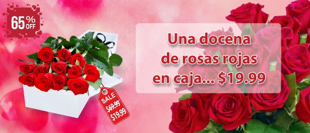 /sp/Occasions/Aniversario/Una-docena-de-rosas-rojas-en-caja-de-regalo.html